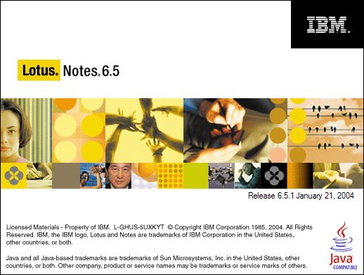Lotus Notes 6.5 disclaimer
